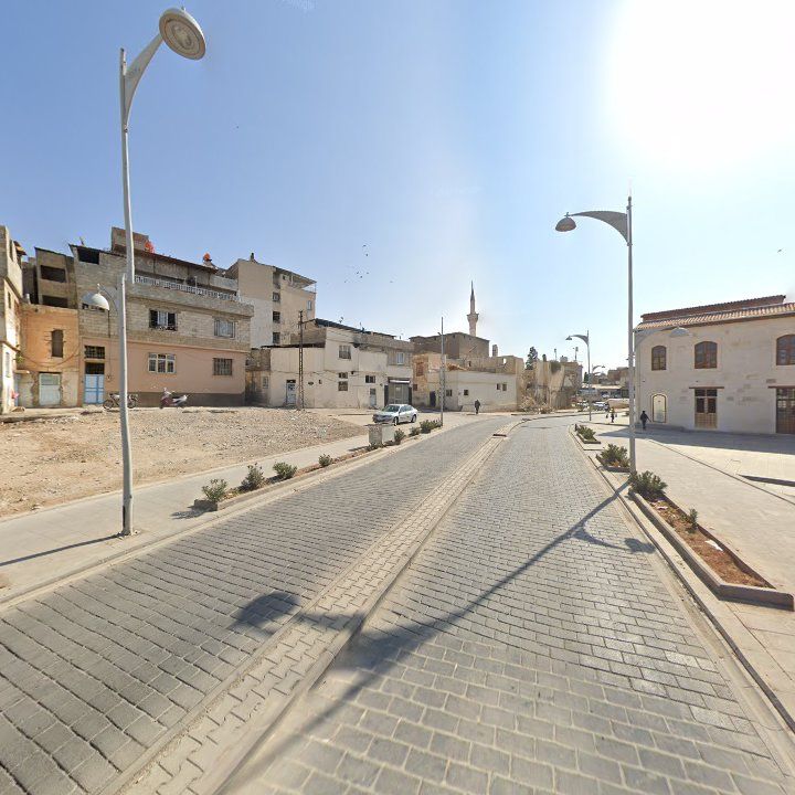 Fotoğraf 9