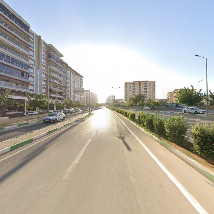 Fotoğraf 12