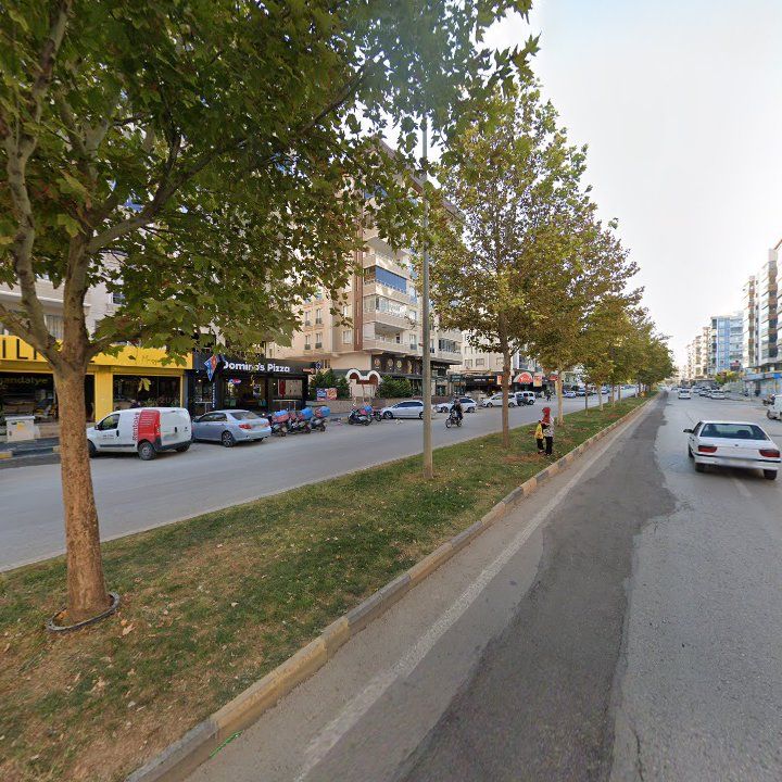 Fotoğraf 8
