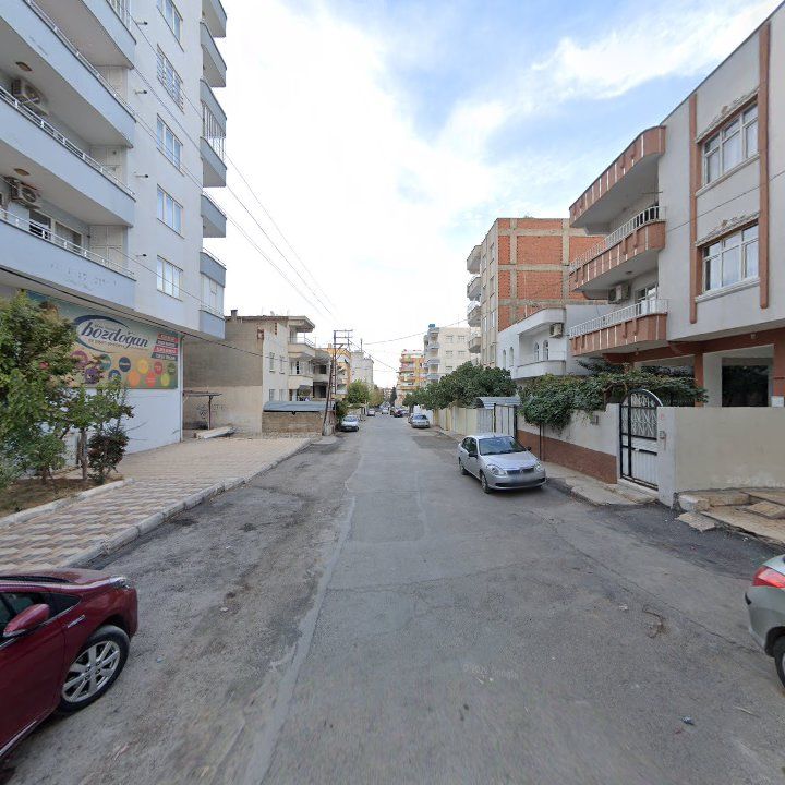 Fotoğraf 9
