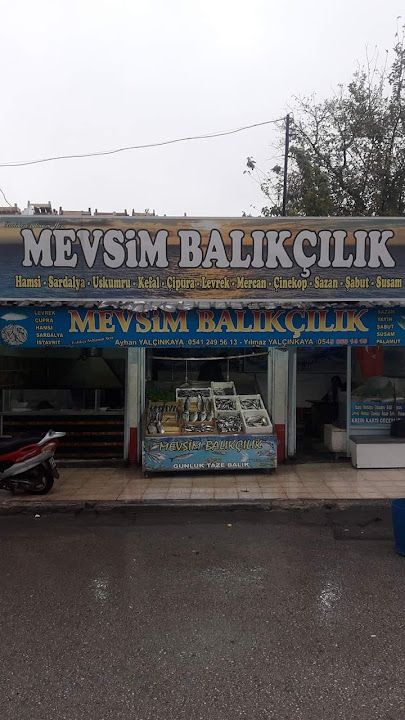 Mevsim Balıkçılık