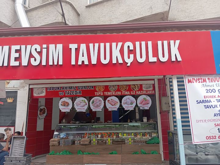 Mevsim Tavukçuluk