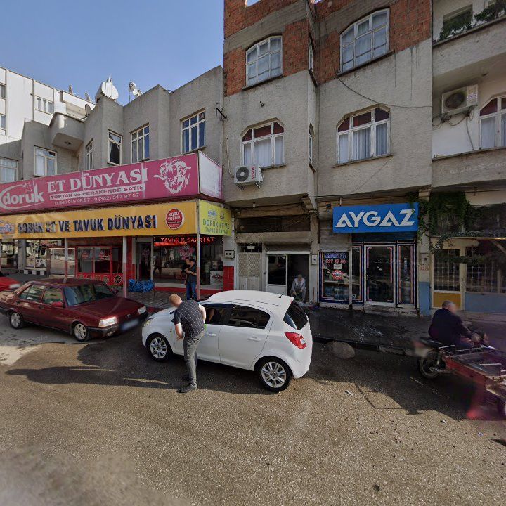 Fotoğraf 7