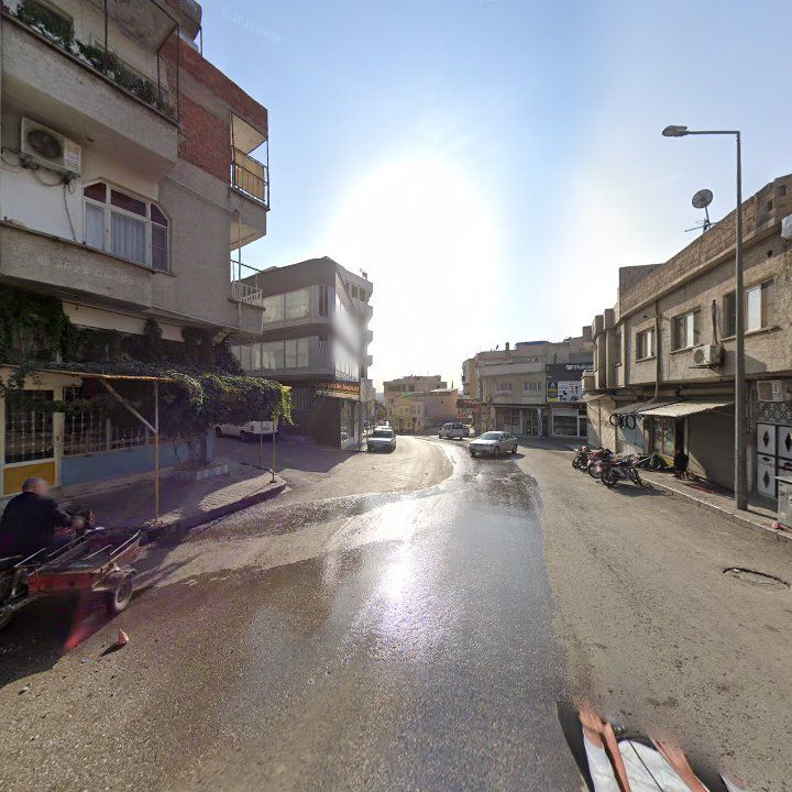 Fotoğraf 8