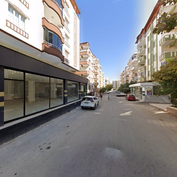 Fotoğraf 10