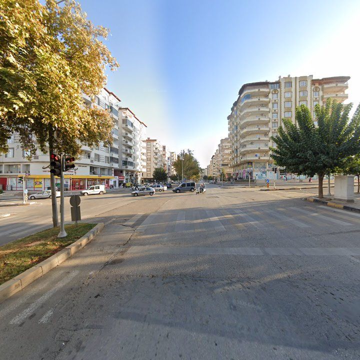 Fotoğraf 9