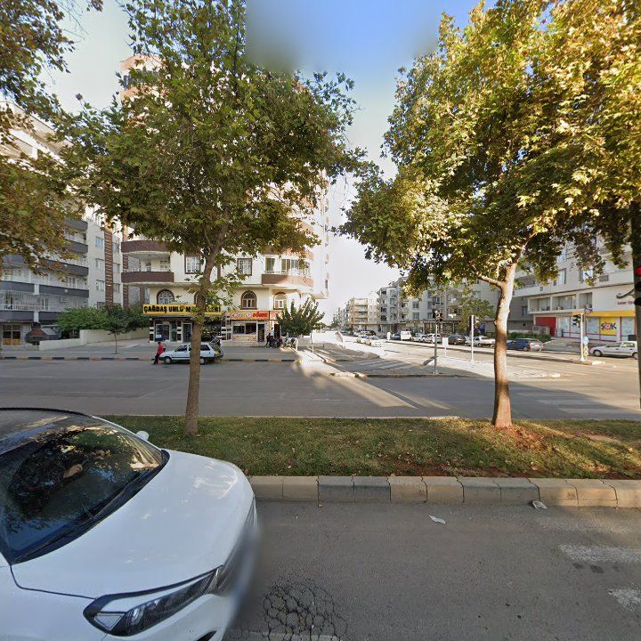 Fotoğraf 8