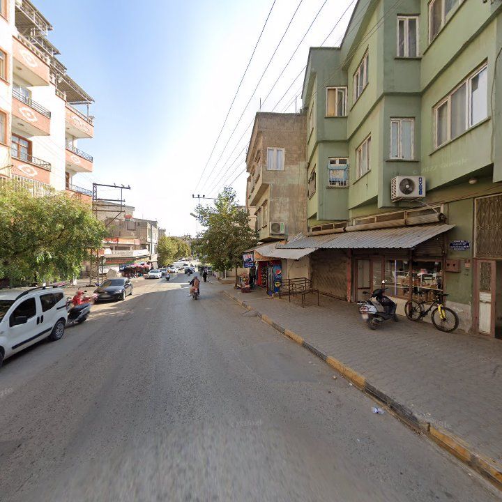 Fotoğraf 9
