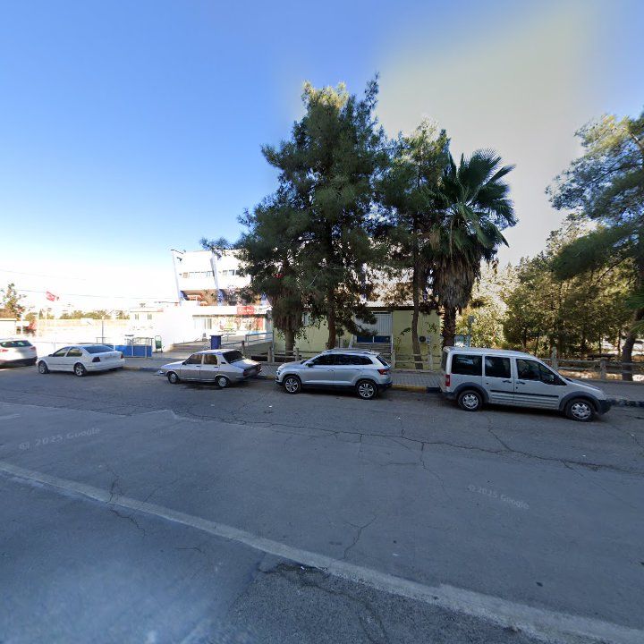 Fotoğraf 8