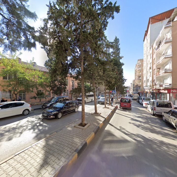Fotoğraf 6