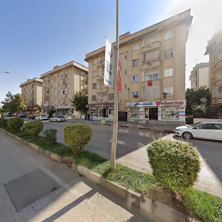 Fotoğraf 6