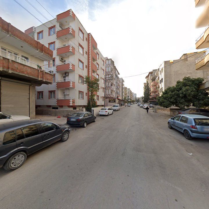 Fotoğraf 6