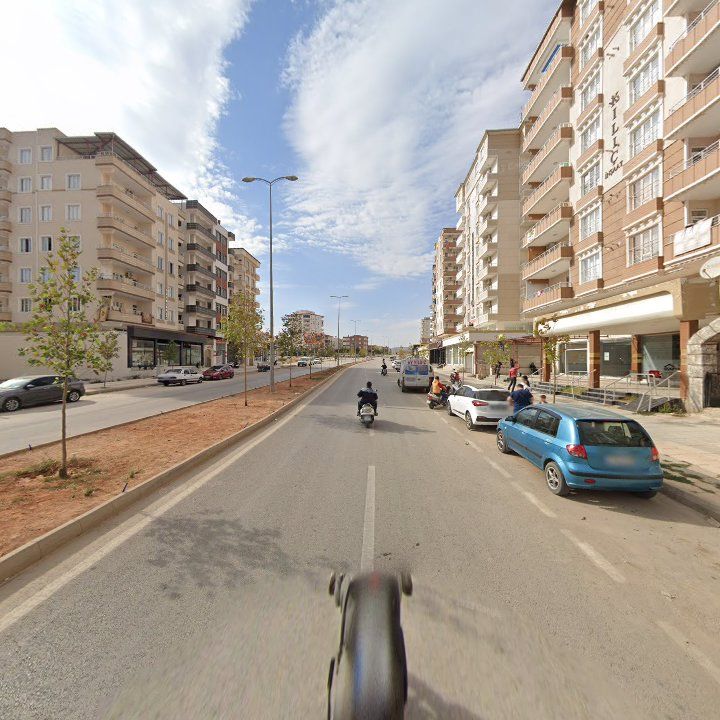 Fotoğraf 10