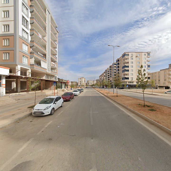 Fotoğraf 8