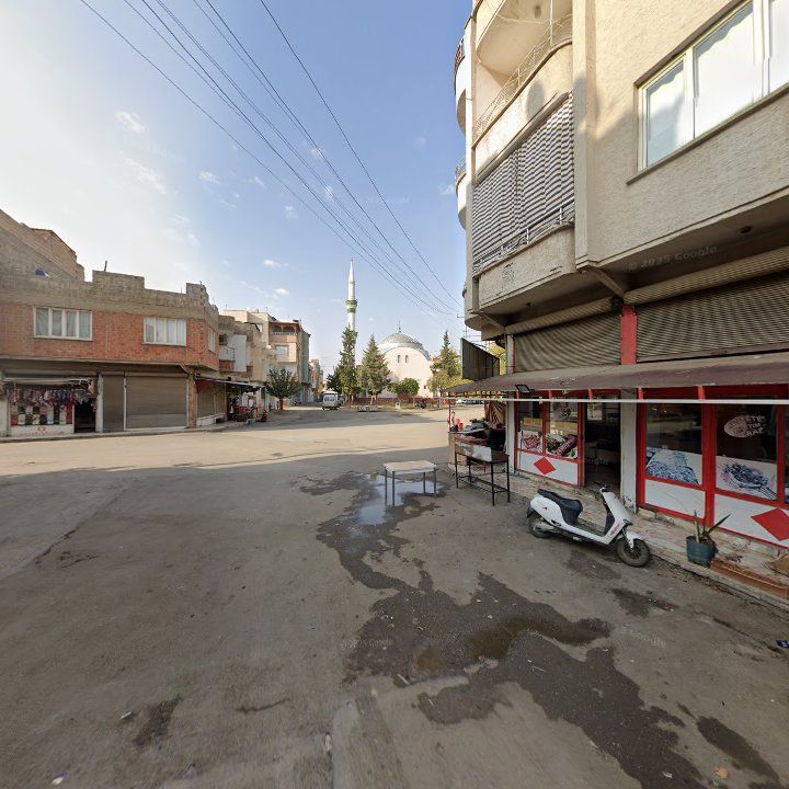 Fotoğraf 5