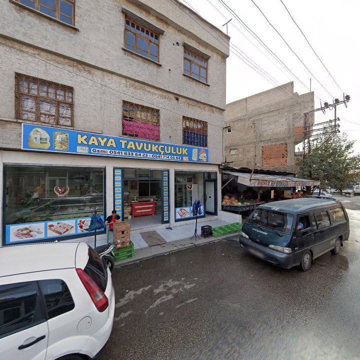Fotoğraf 3
