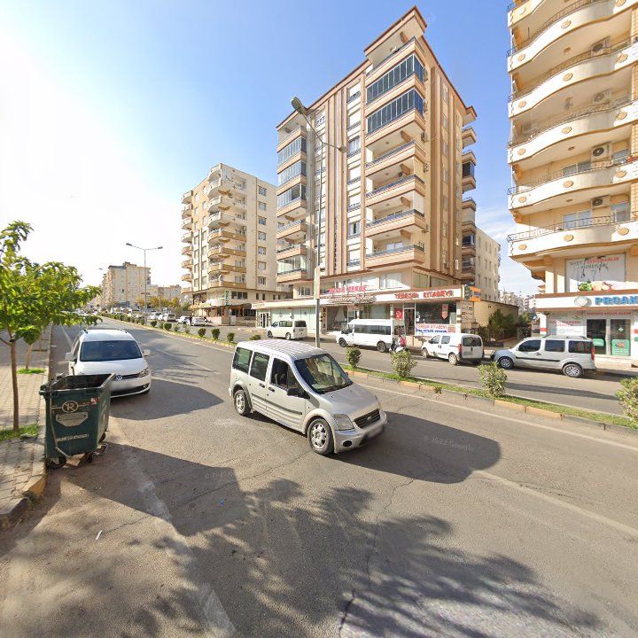Fotoğraf 7