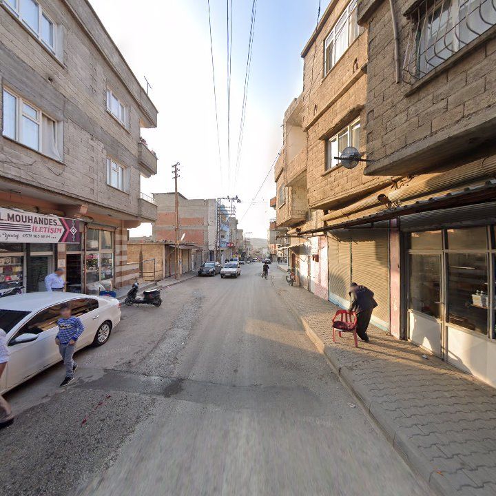 Fotoğraf 2