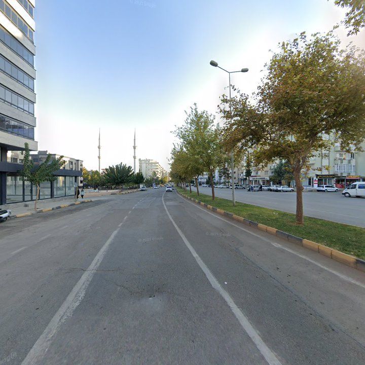 Fotoğraf 9