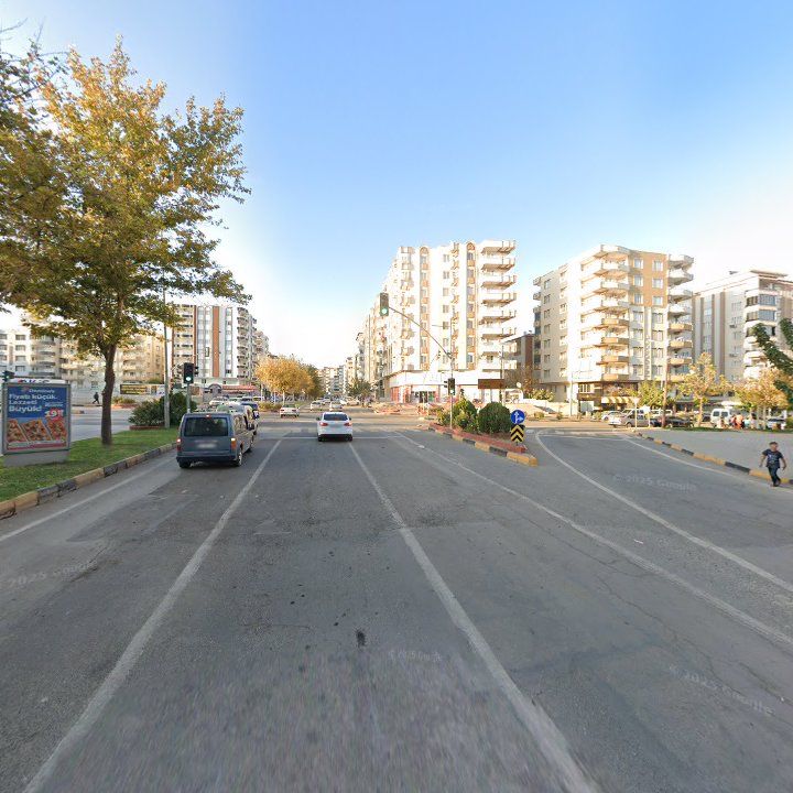 Fotoğraf 11