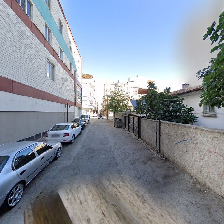 Fotoğraf 12