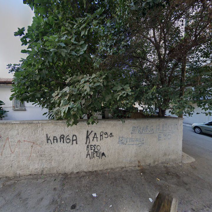 Fotoğraf 13