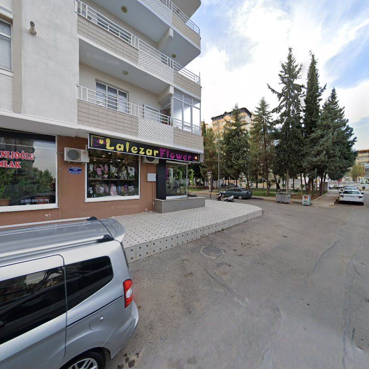 Fotoğraf 9