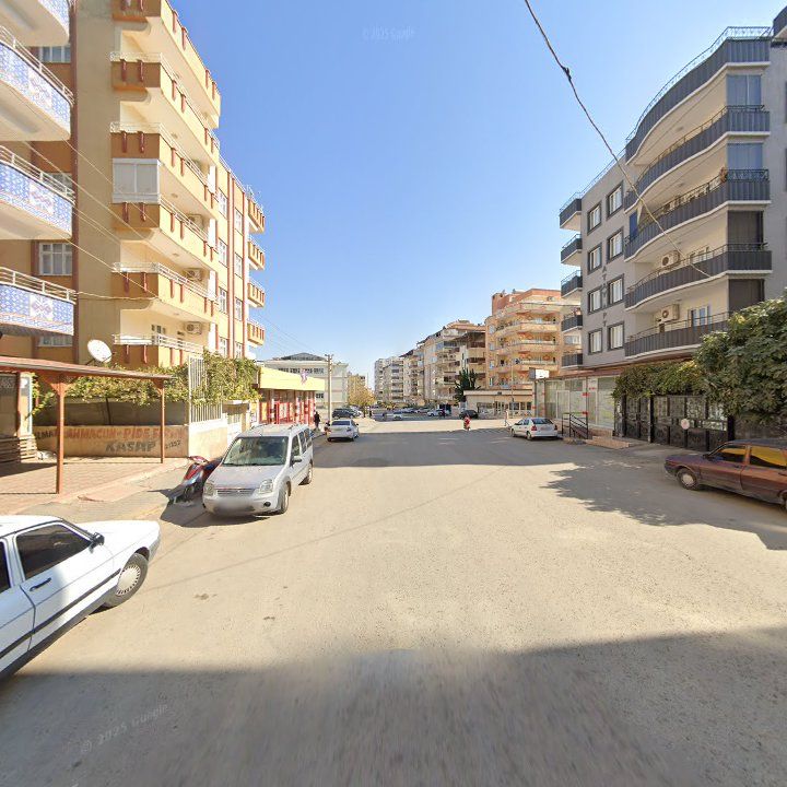 Fotoğraf 3