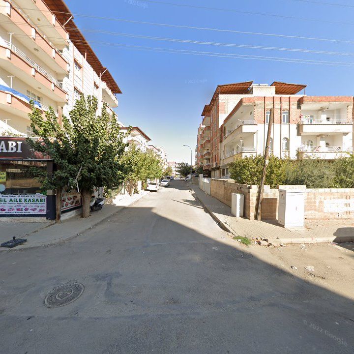 Fotoğraf 9