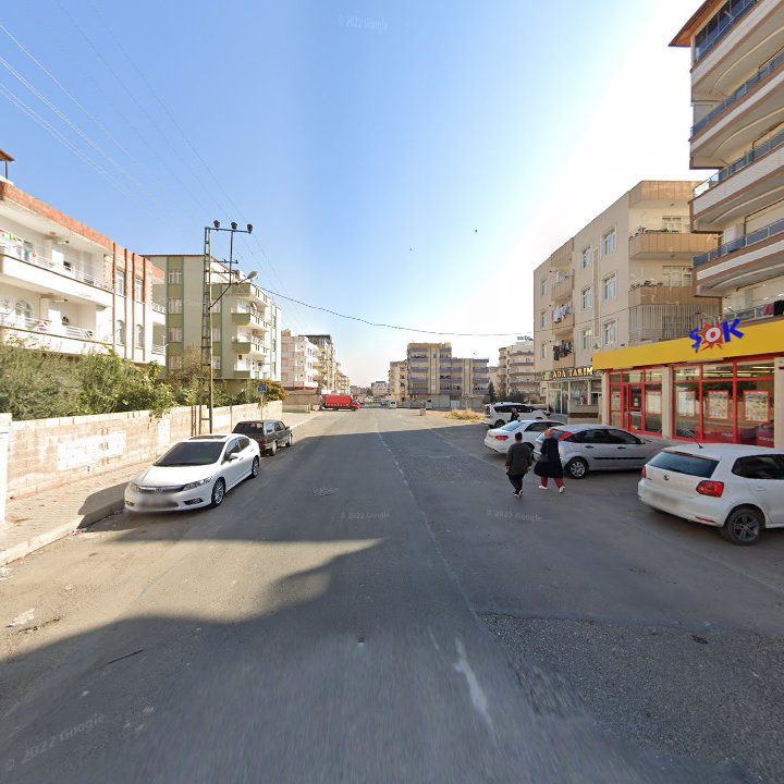 Fotoğraf 10