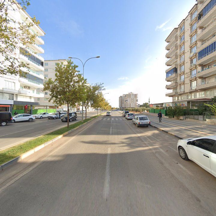 Fotoğraf 10