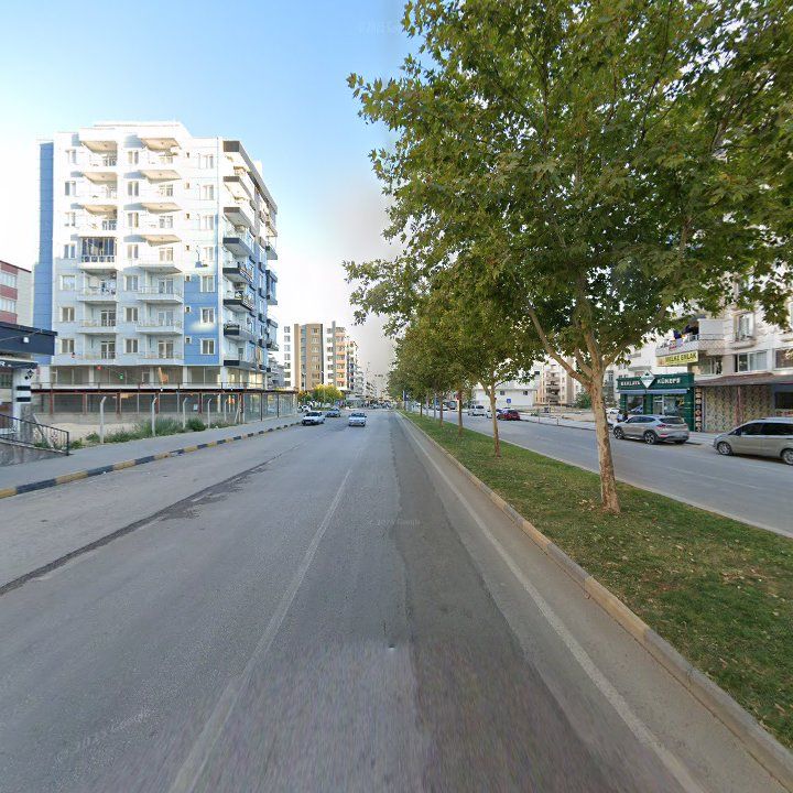 Fotoğraf 4
