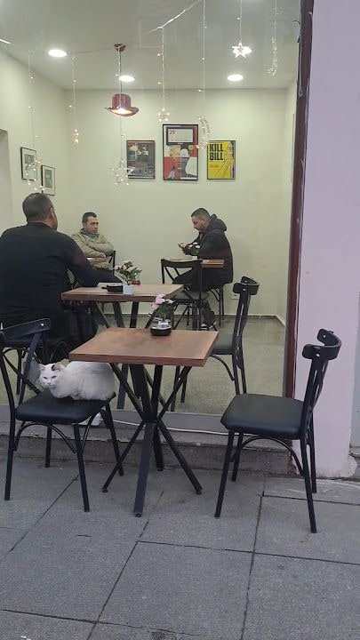 Fotoğraf 14