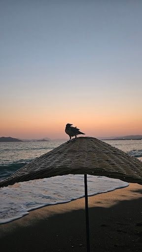 Yorum fotoğrafı 5