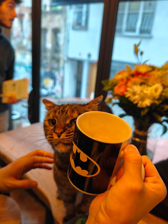 Yorum fotoğrafı 4