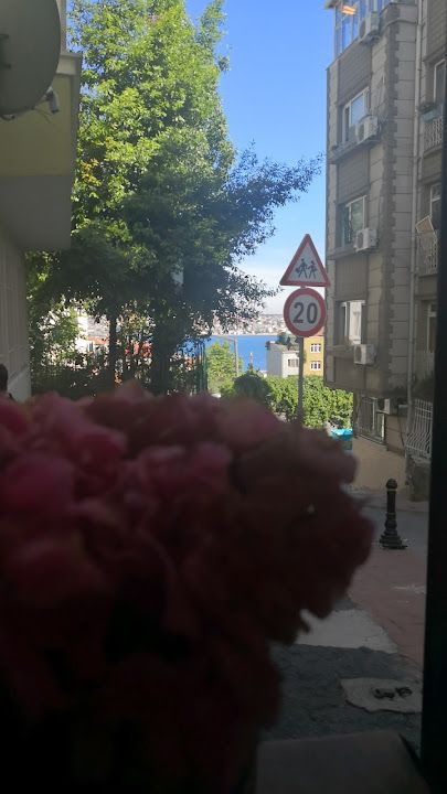 Fotoğraf 43