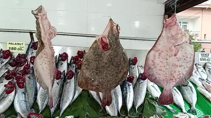 Fotoğraf 40