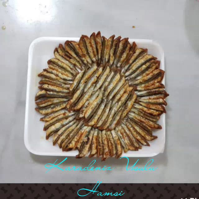Fotoğraf 24
