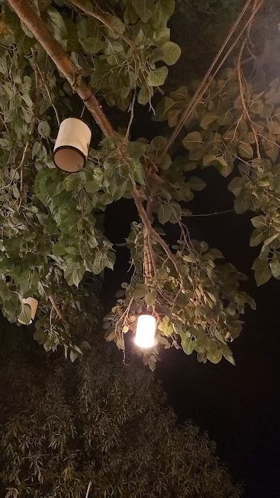 Fotoğraf 24