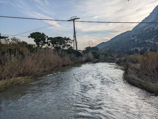 Yorum fotoğrafı 5