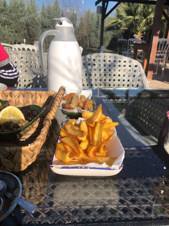 Fotoğraf 31
