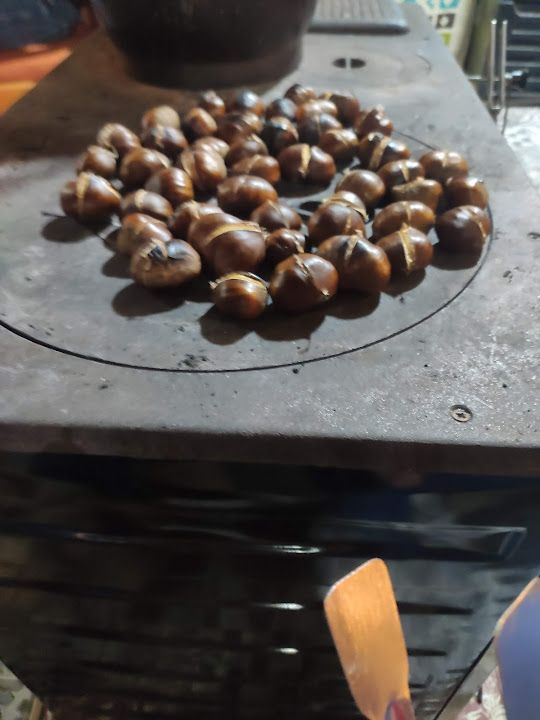 Fotoğraf 13