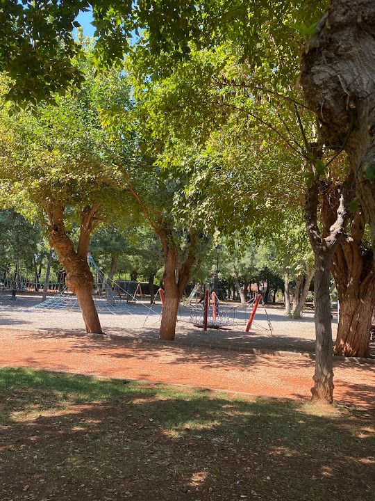Fotoğraf 20