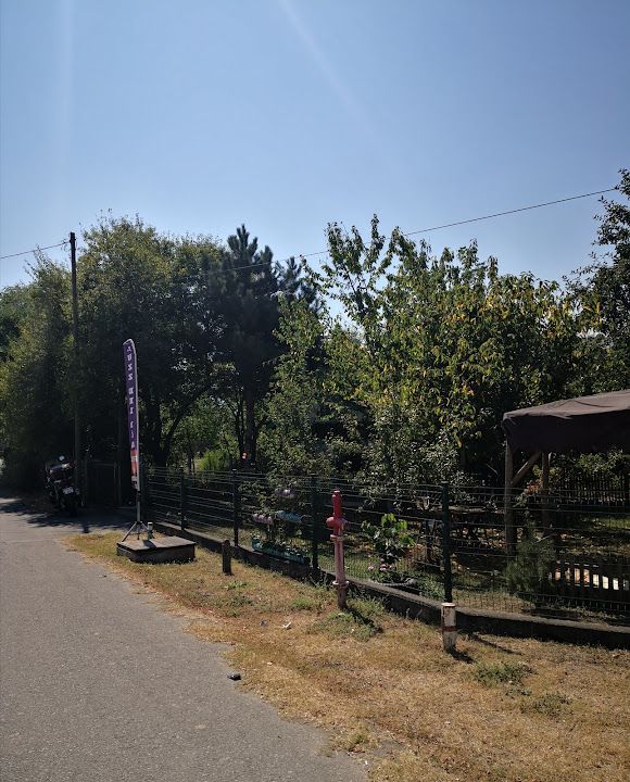 Fotoğraf 26