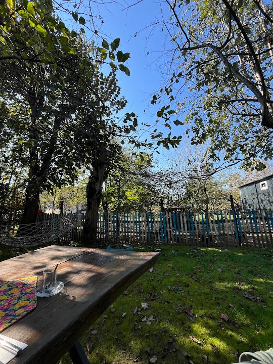 Fotoğraf 16