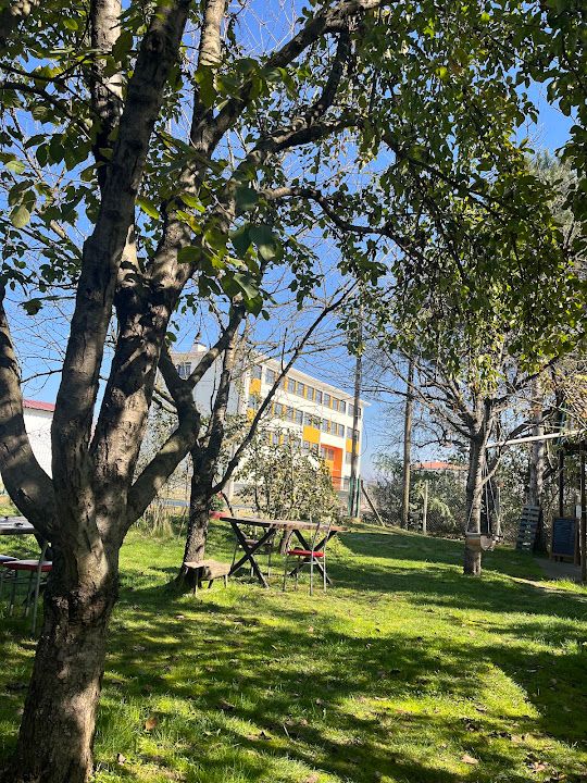 Fotoğraf 14