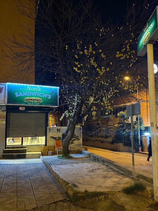 Fotoğraf 17