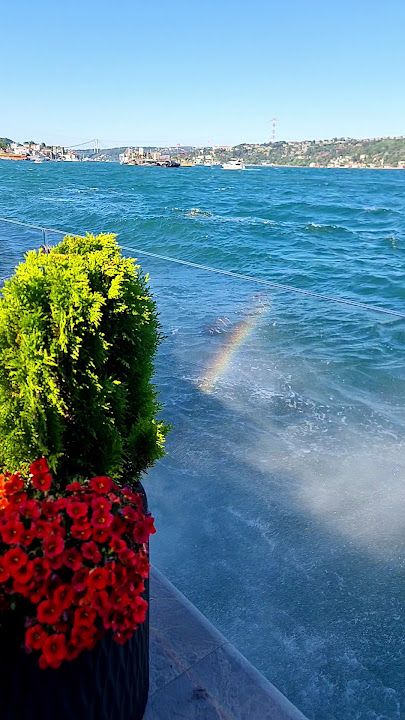 Fotoğraf 44