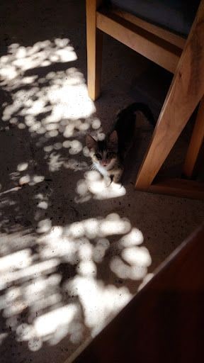 Yorum fotoğrafı 5