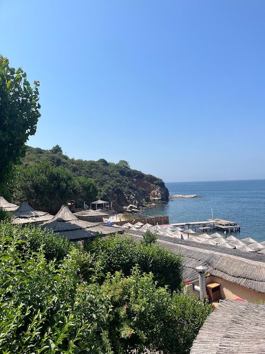 Fotoğraf 77
